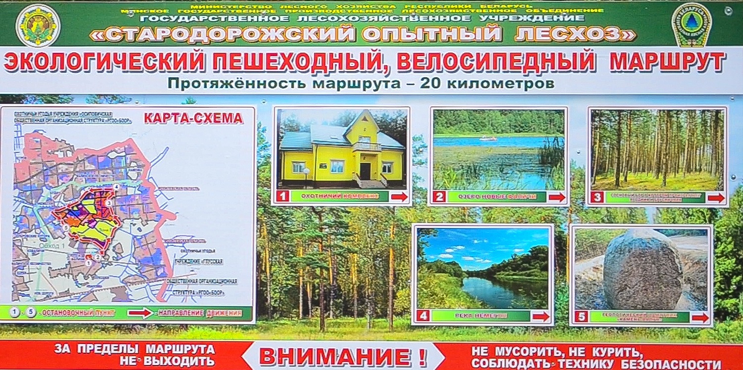 http://www.stdor-les.by/data/file/%D0%91%D0%B5%D0%B7%D1%8B%D0%BC%D1%8F%D0%BD%D0%BD%D1%8B%D0%B9.jpg
